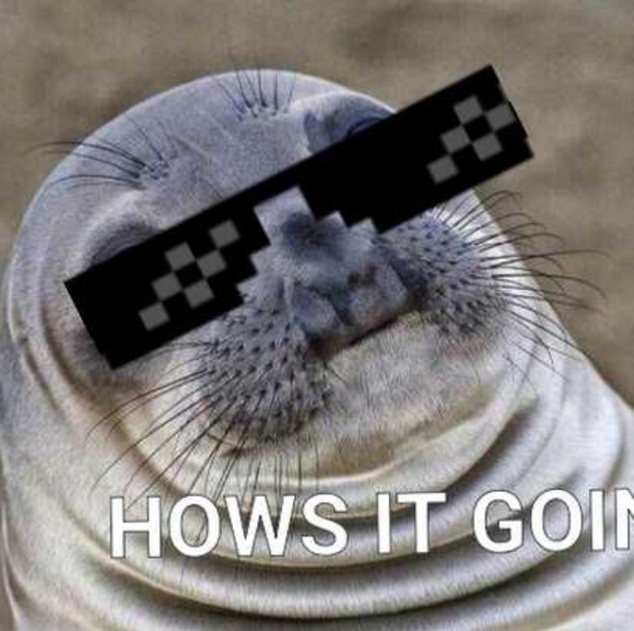 Meet your Posher, Con - Picture 1 of 1